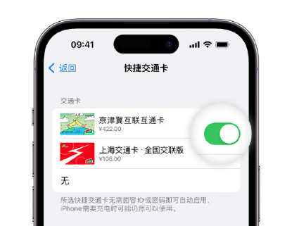 闻喜apple维修点分享iPhone上更换Apple Pay快捷交通卡手绘卡面 