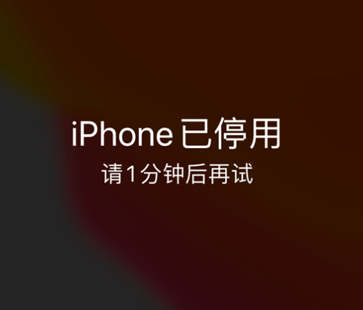 闻喜苹果手机维修分享:iPhone 显示“不可用”或“已停用”怎么办？还能保留数据吗？ 