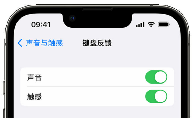 闻喜苹果手机维修分享iPhone 14触感键盘使用方法 