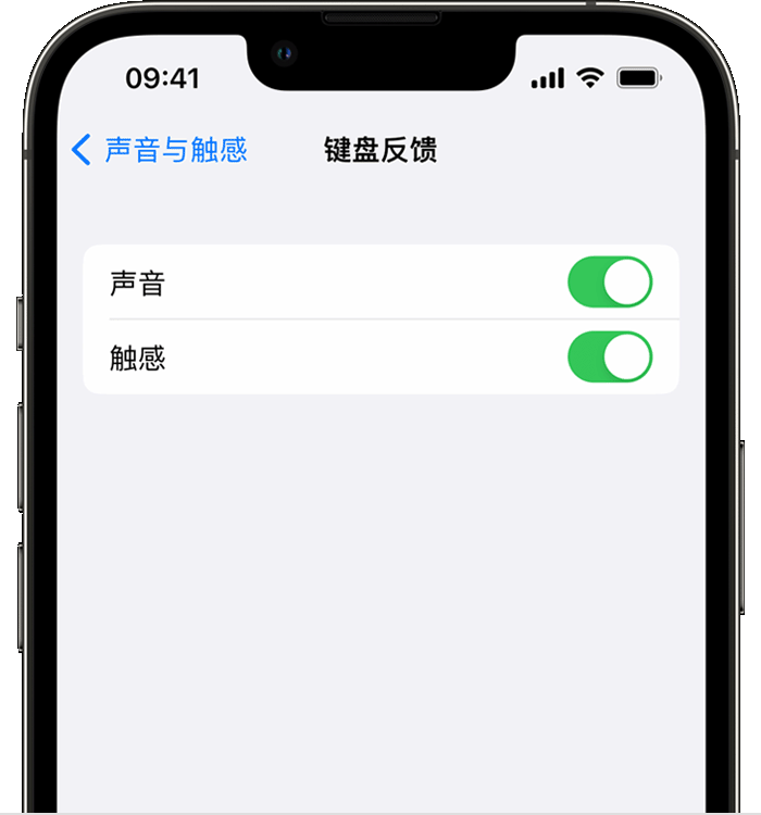 闻喜苹果14维修店分享如何在 iPhone 14 机型中使用触感键盘 