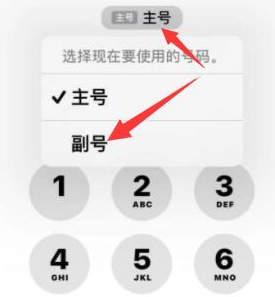 闻喜苹果14维修店分享iPhone 14 Pro Max使用副卡打电话的方法 