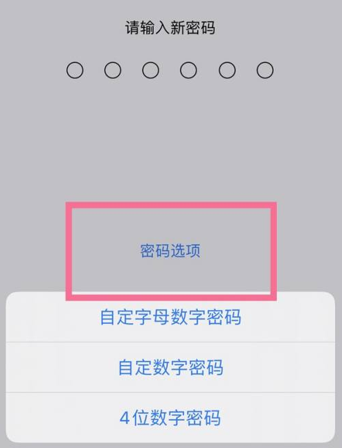 闻喜苹果14维修分享iPhone 14plus设置密码的方法 