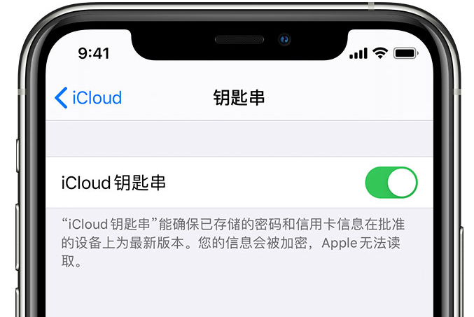 闻喜苹果手机维修分享在 iPhone 上开启 iCloud 钥匙串之后会储存哪些信息 